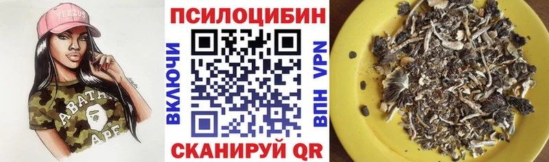 Галлюциногенные грибы Psilocybe Ермолино